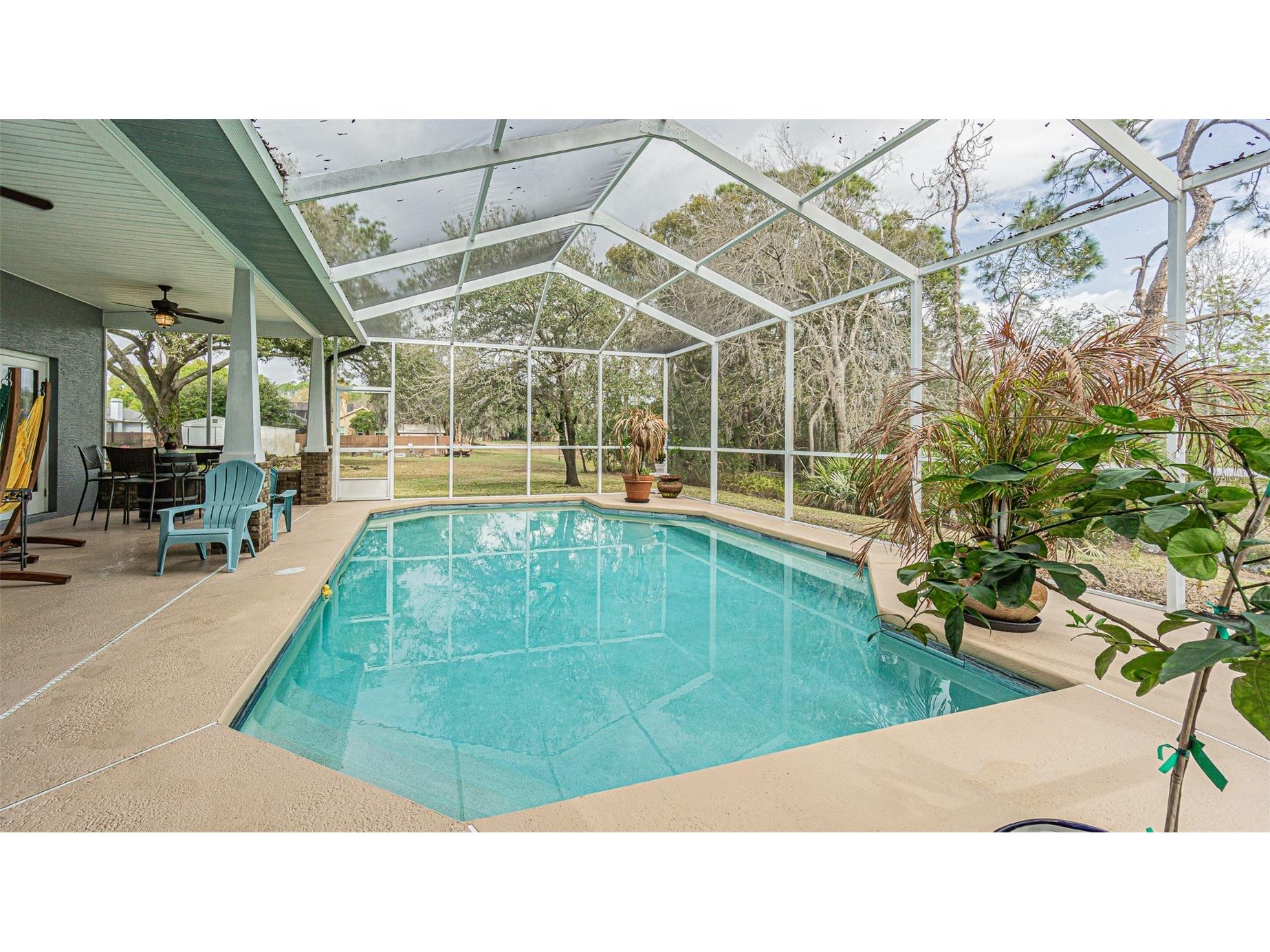 12211 Count Place Thonotosassa FL 33592 TB8482261 image33