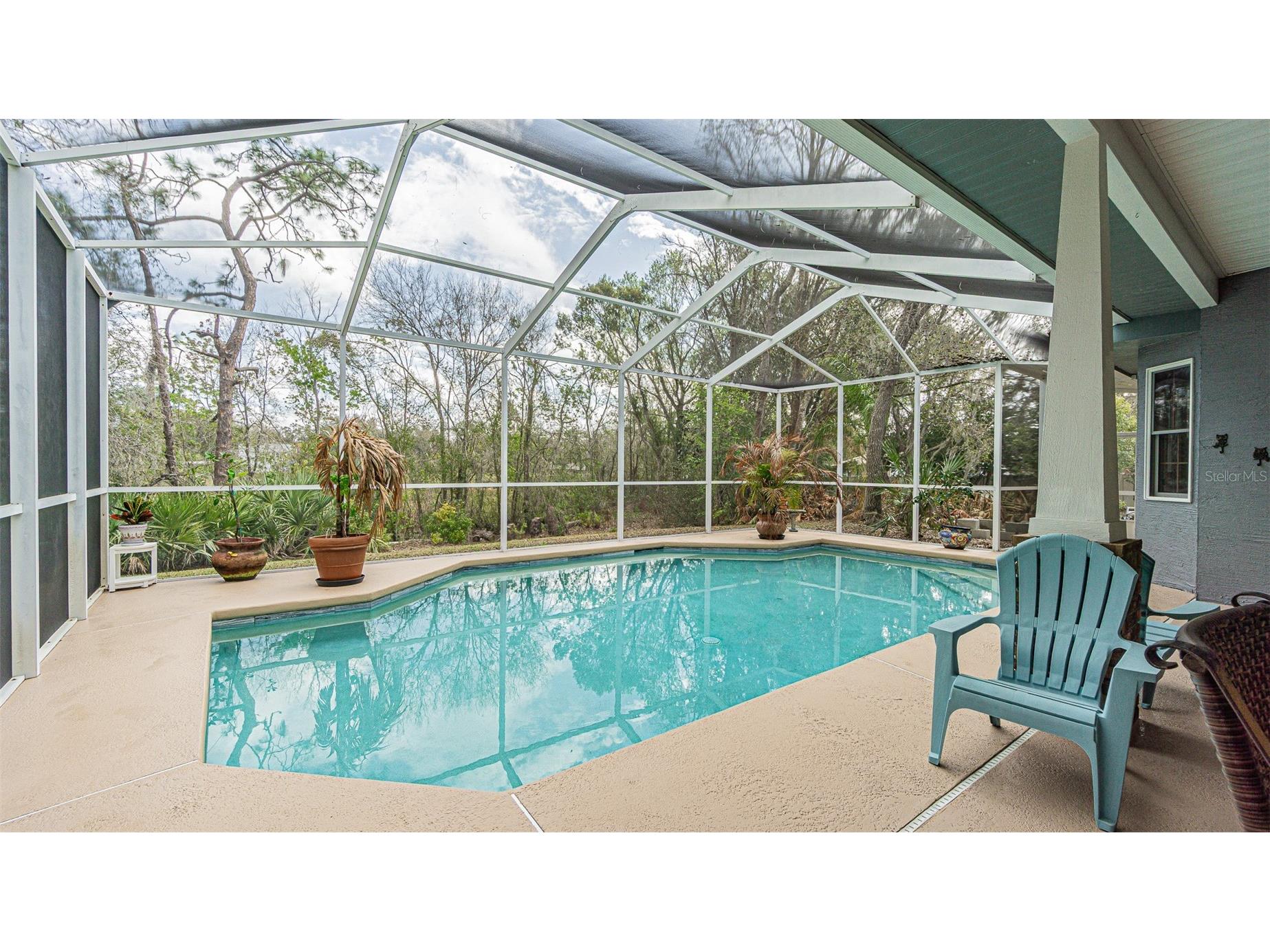 12211 Count Place Thonotosassa FL 33592 TB8482261 image34