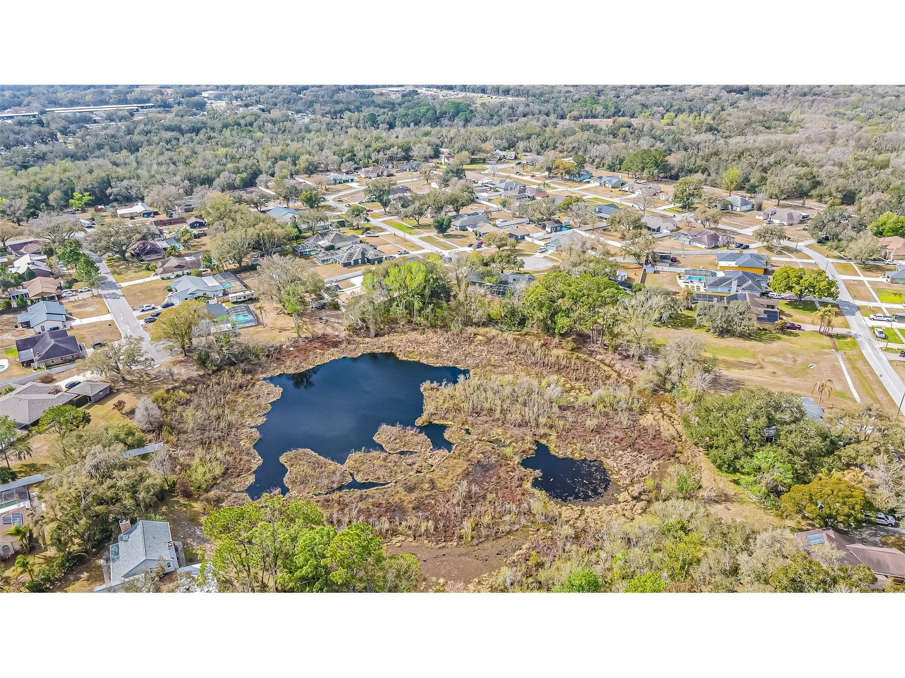 12211 Count Place Thonotosassa FL 33592 TB8482261 image42