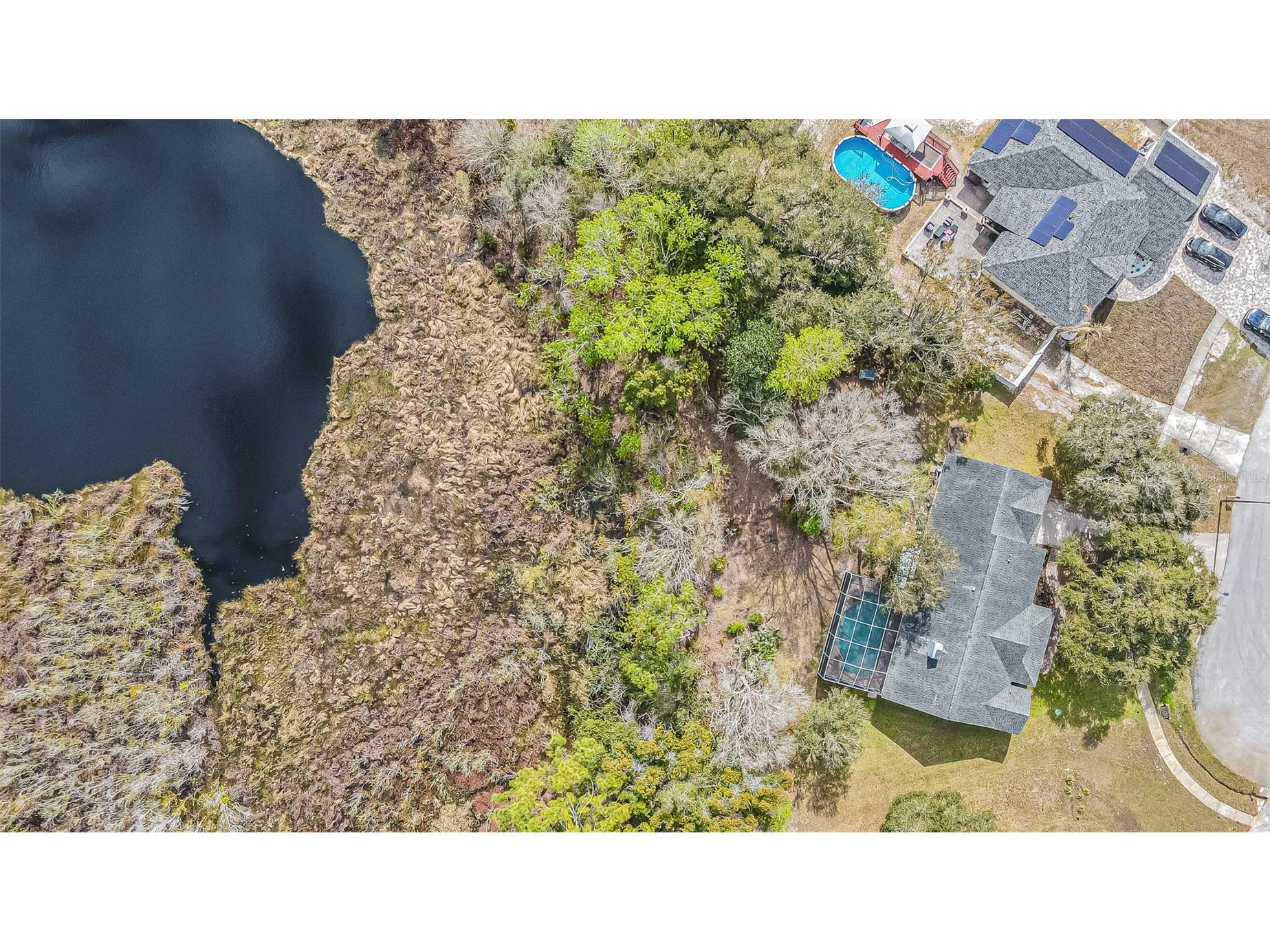 12211 Count Place Thonotosassa FL 33592 TB8482261 image45