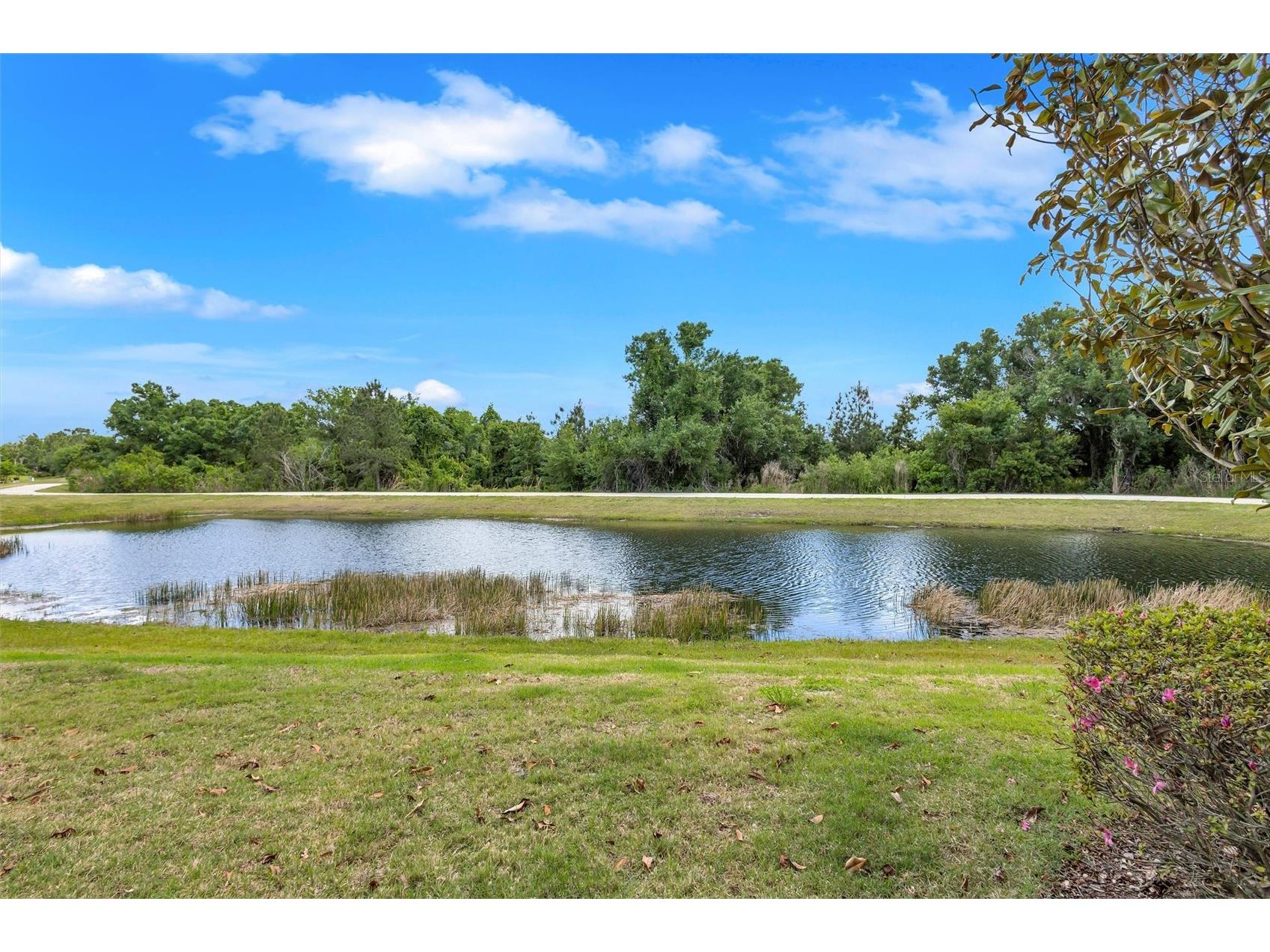 12211 Trailhead Drive Bradenton FL 34211 A4688827 image6