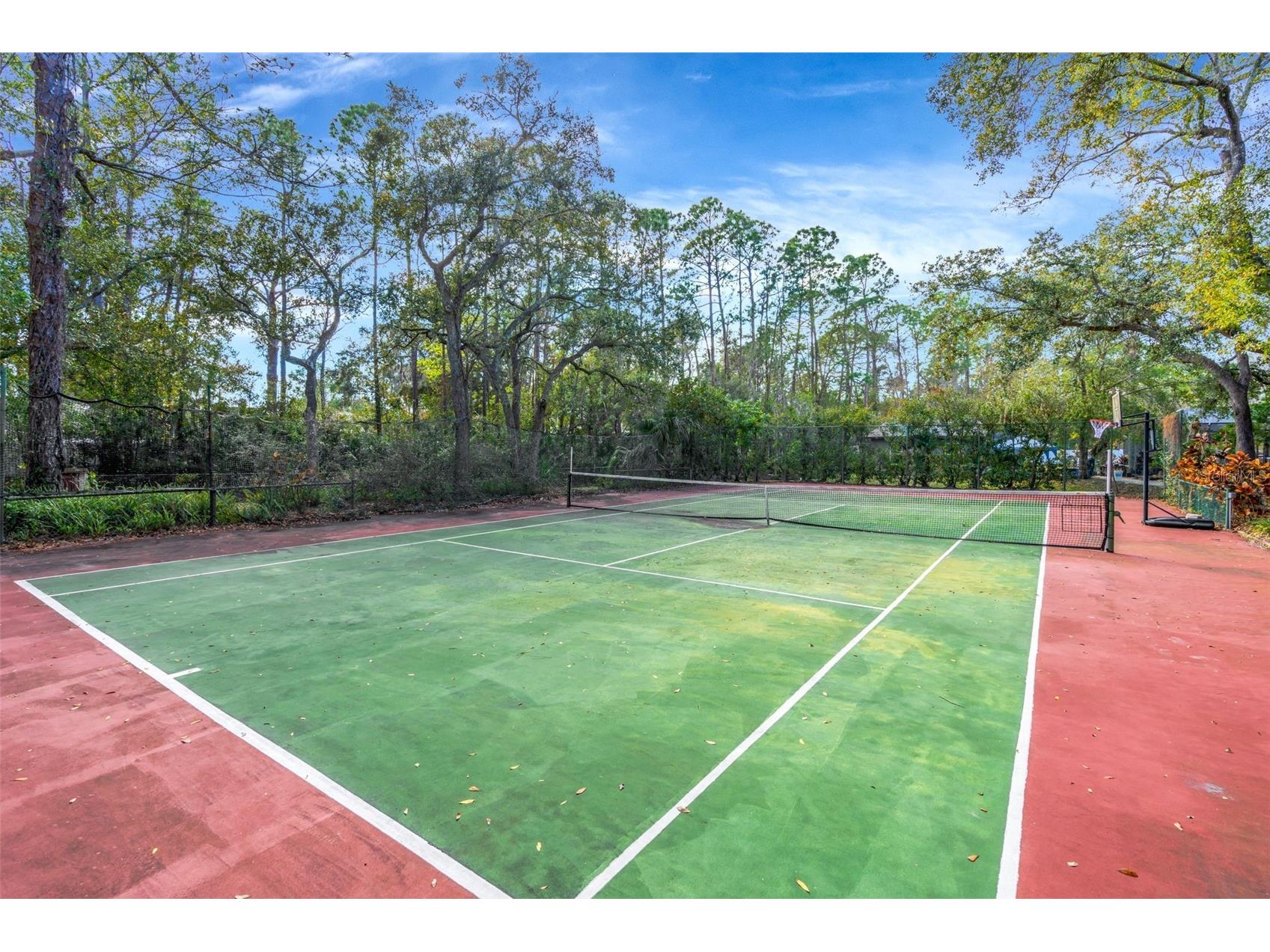 12211 Twin Branch Acres Road Tampa FL 33626 TB8478136 image45