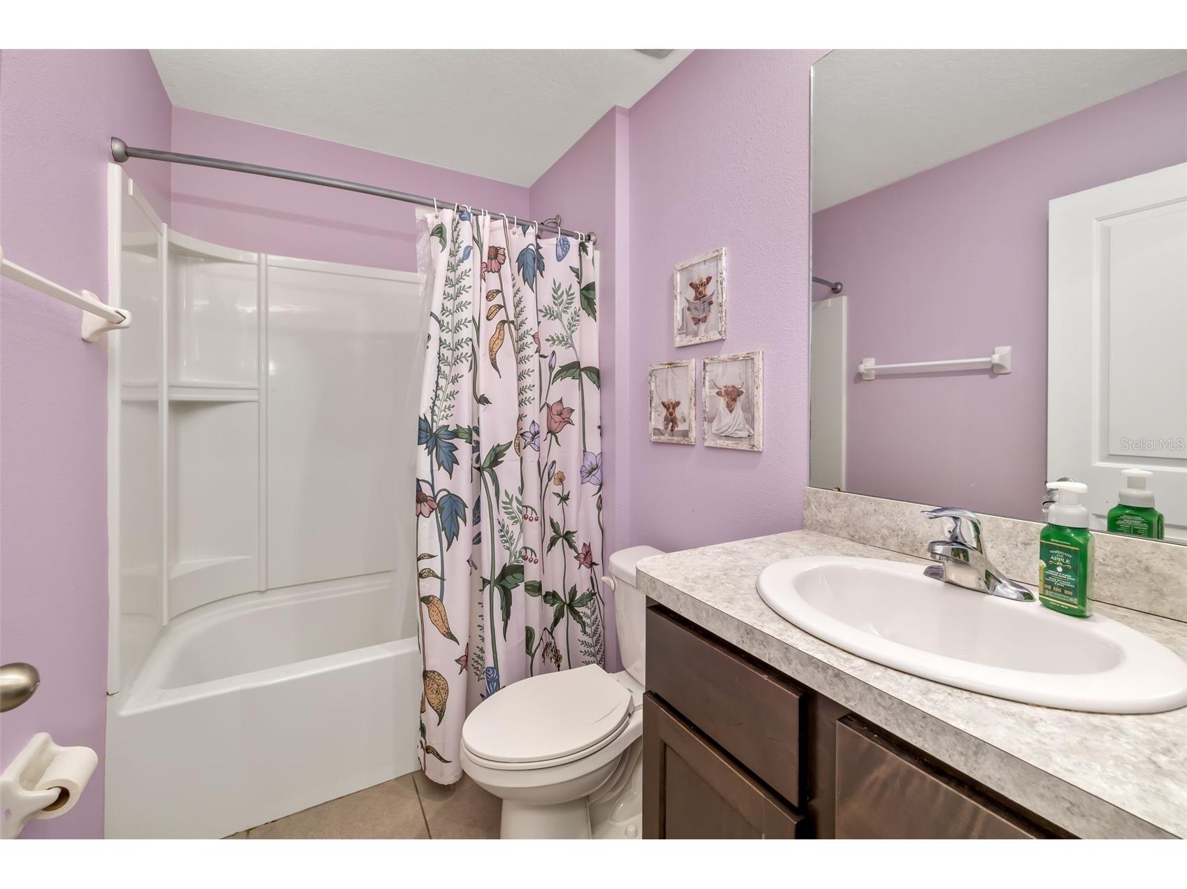 12212 High Rock Way Parrish FL 34219 A4676345 image21