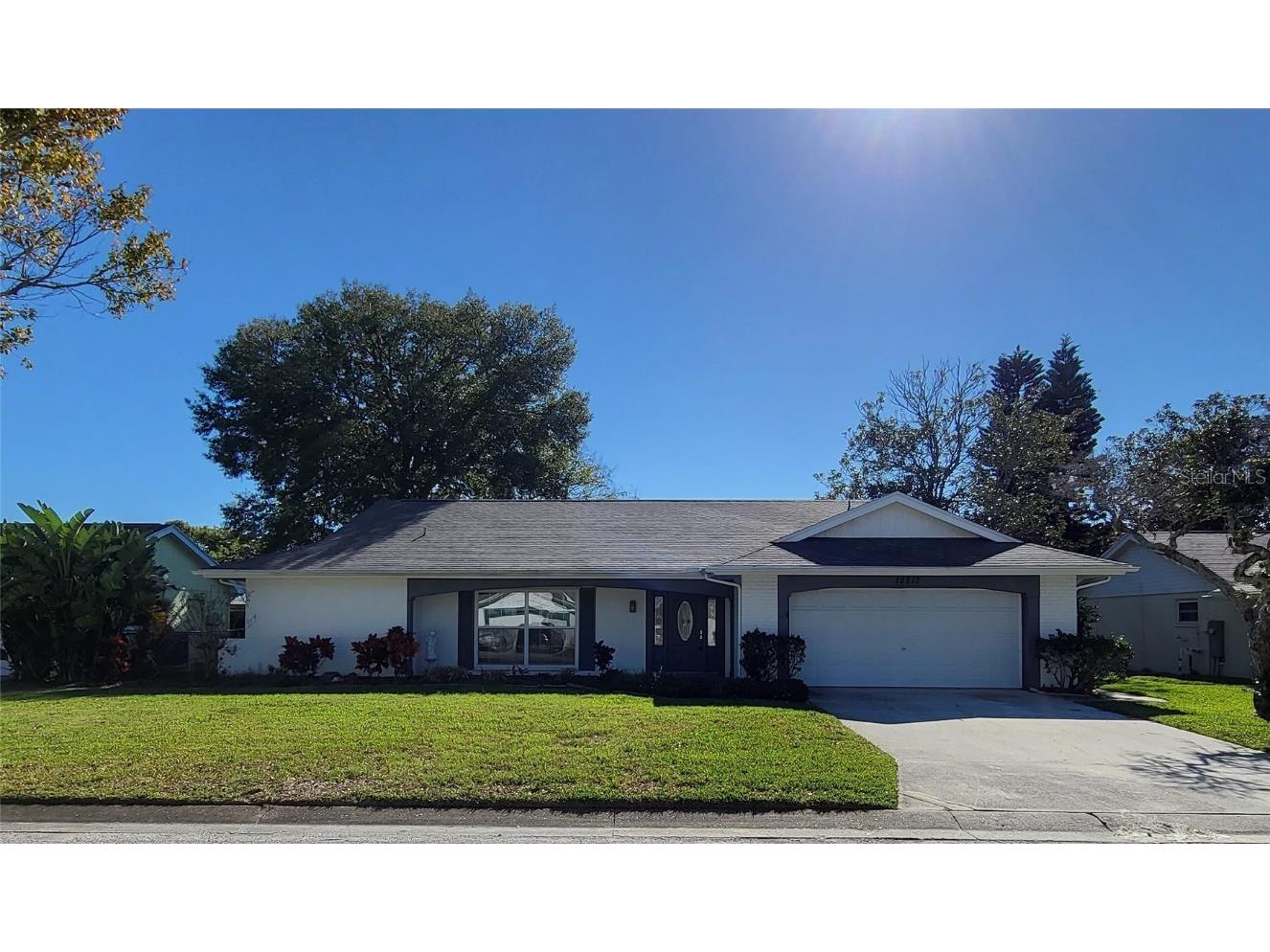 12212 Meadowbrook Lane Hudson FL 34667 T3492591 image1