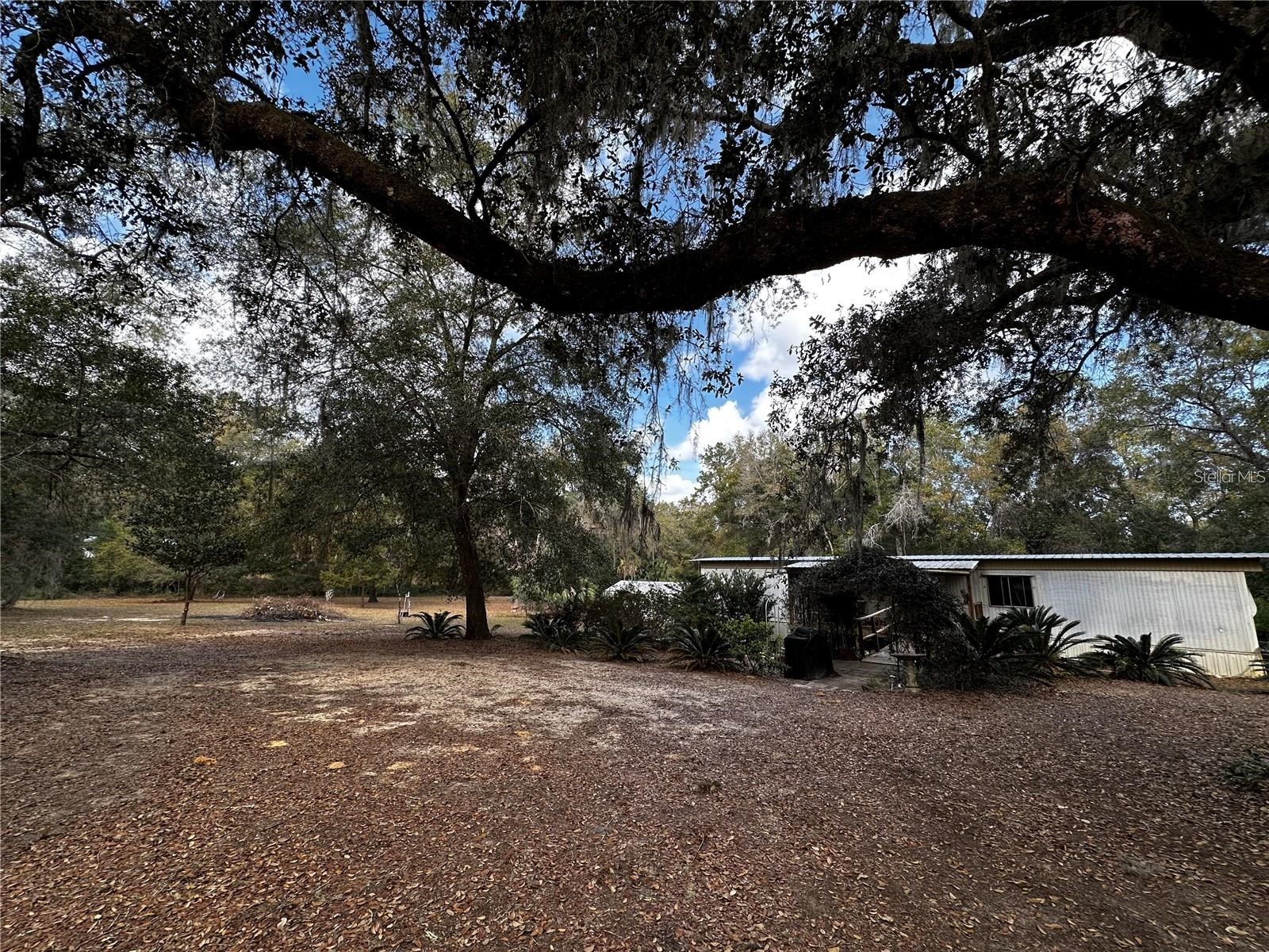 12212 NE 238th Terrace Salt Springs FL 32134 TB8502272 image1