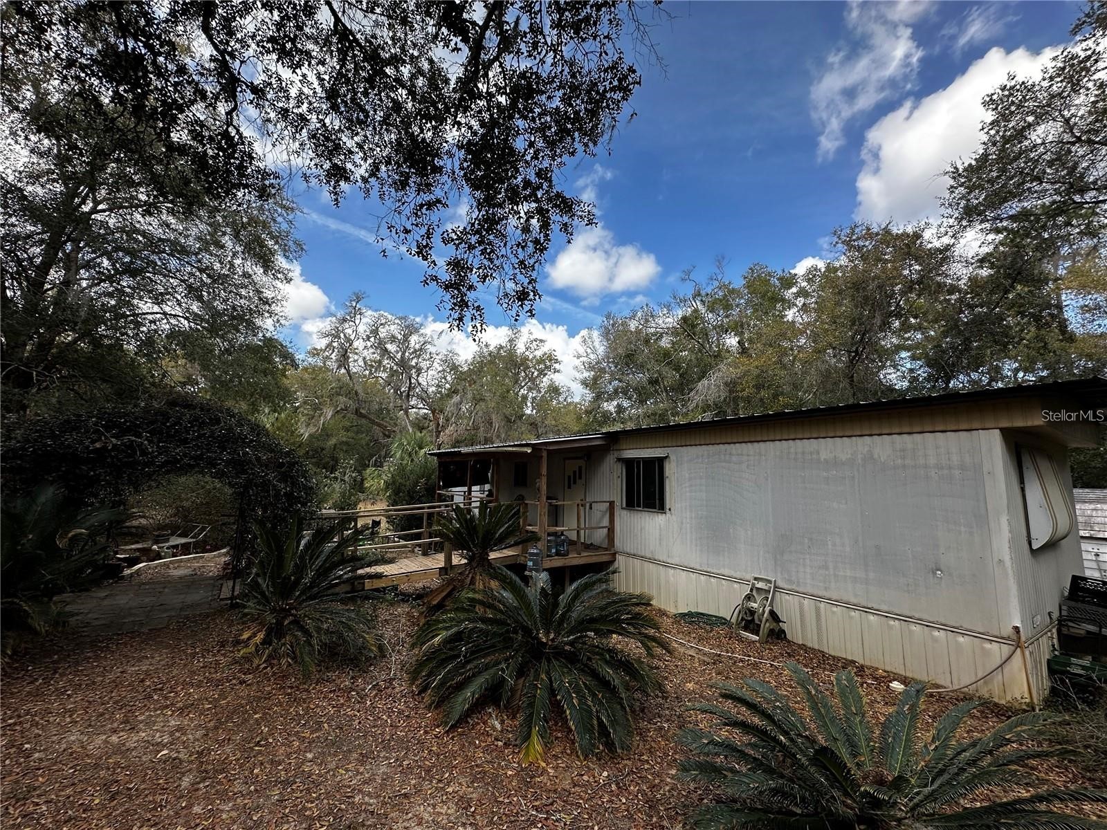 12212 NE 238th Terrace Salt Springs FL 32134 TB8502272 image11