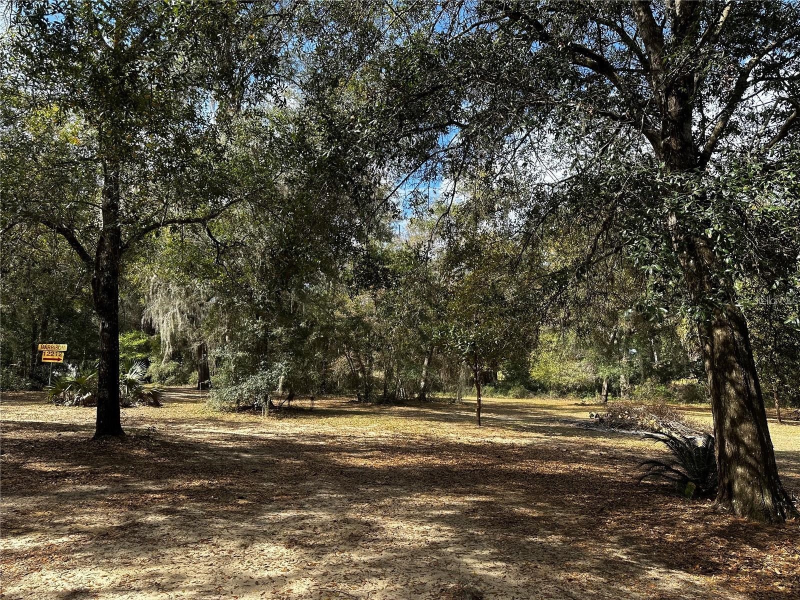12212 NE 238th Terrace Salt Springs FL 32134 TB8502272 image12