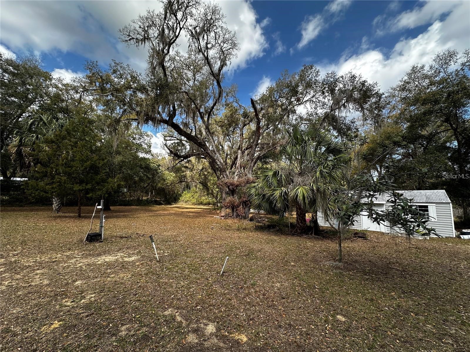 12212 NE 238th Terrace Salt Springs FL 32134 TB8502272 image13