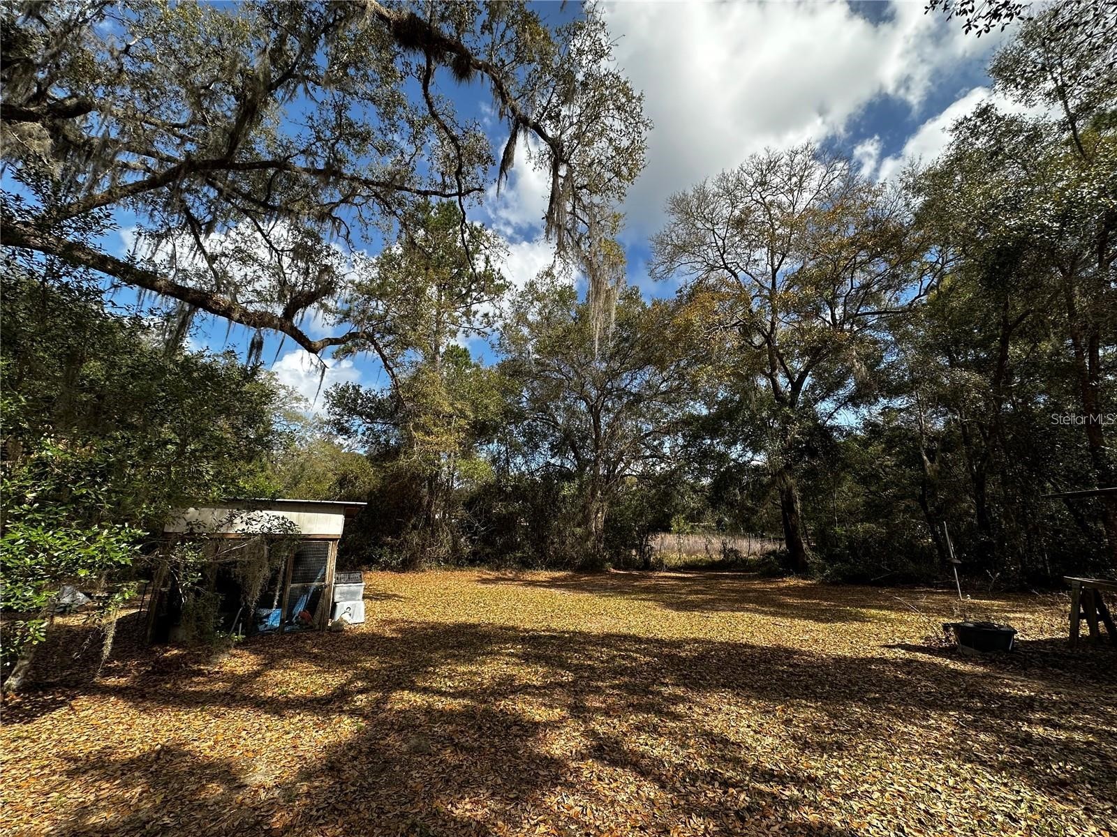 12212 NE 238th Terrace Salt Springs FL 32134 TB8502272 image14