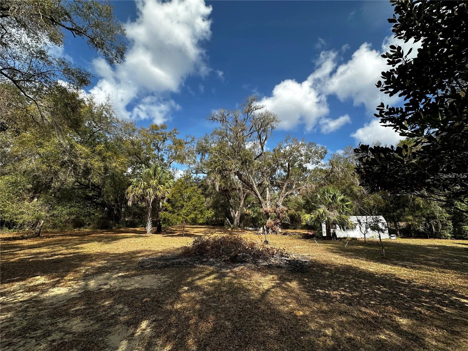 12212 NE 238th Terrace Salt Springs FL 32134 TB8502272 image15