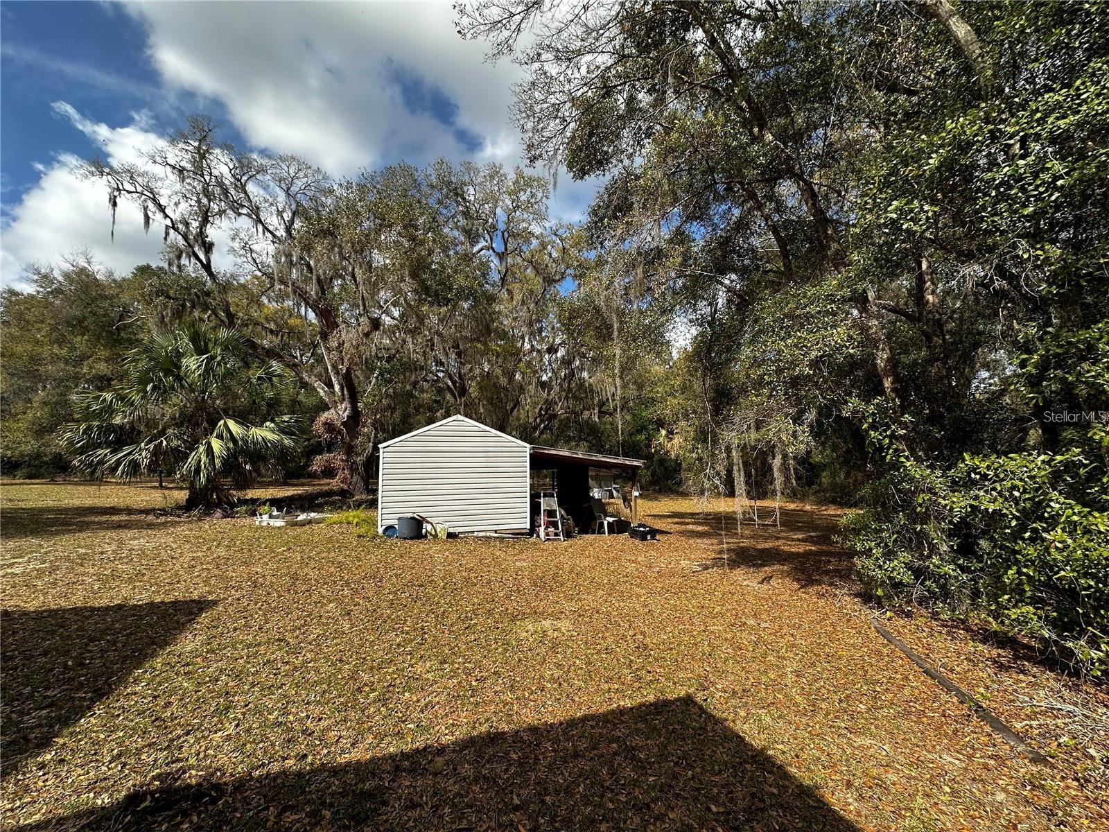 12212 NE 238th Terrace Salt Springs FL 32134 TB8502272 image17