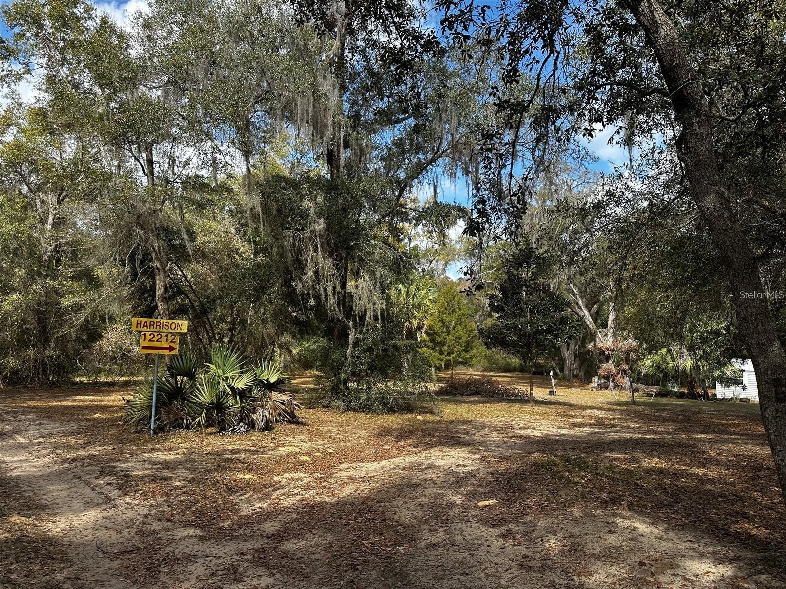 12212 NE 238th Terrace Salt Springs FL 32134 TB8502272 image18