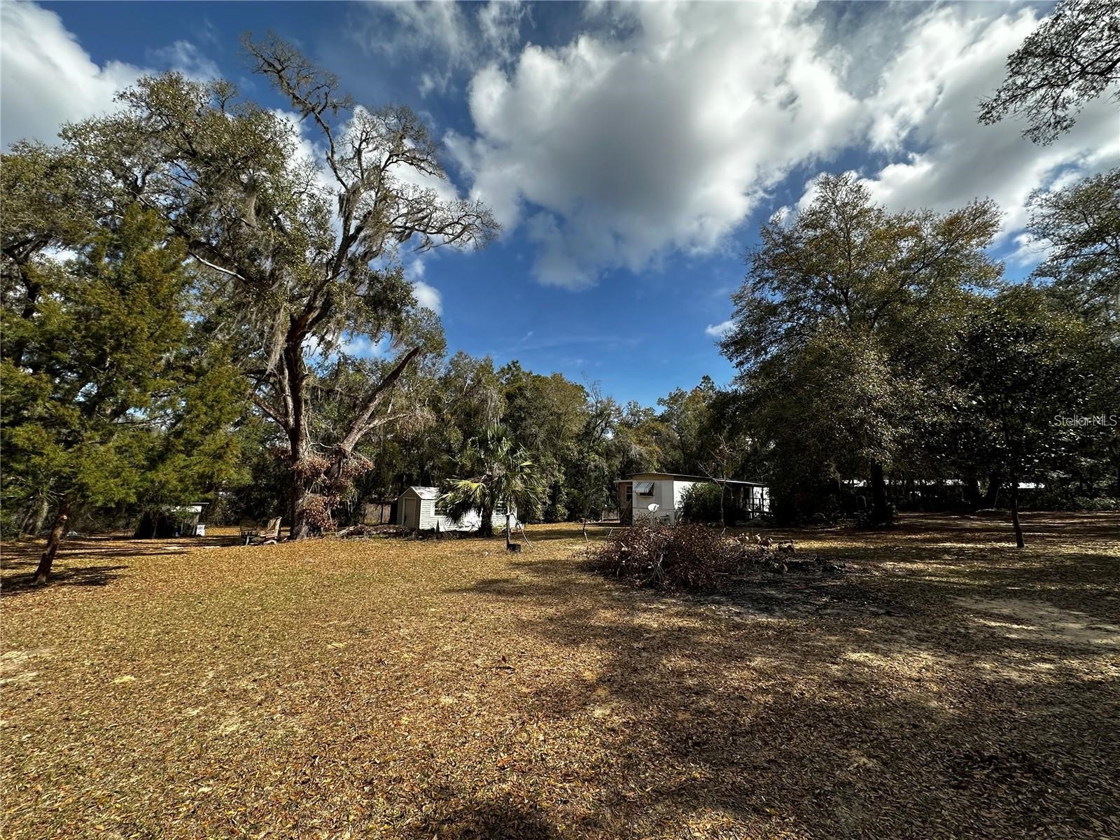 12212 NE 238th Terrace Salt Springs FL 32134 TB8502272 image19