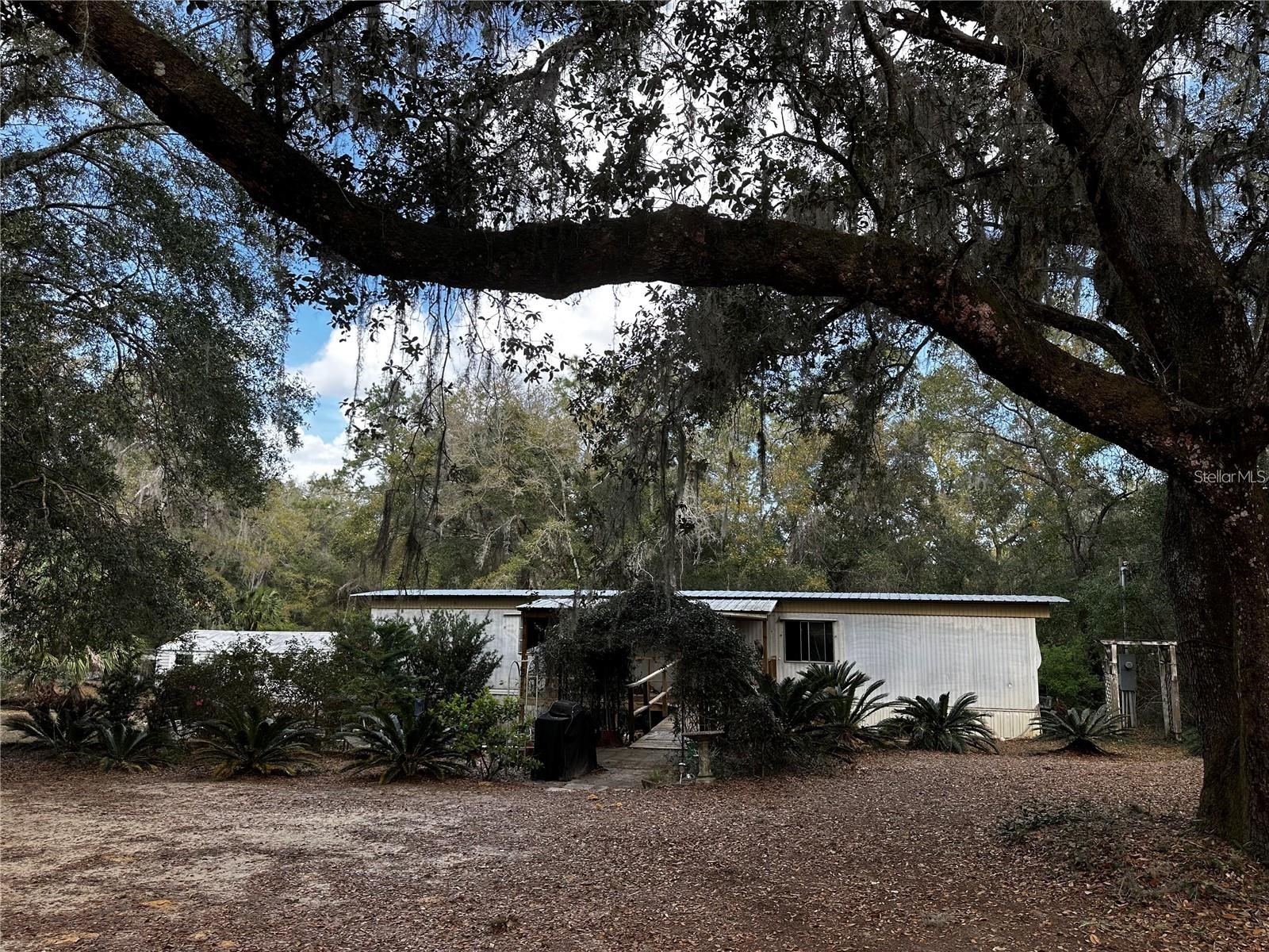 12212 NE 238th Terrace Salt Springs FL 32134 TB8502272 image2