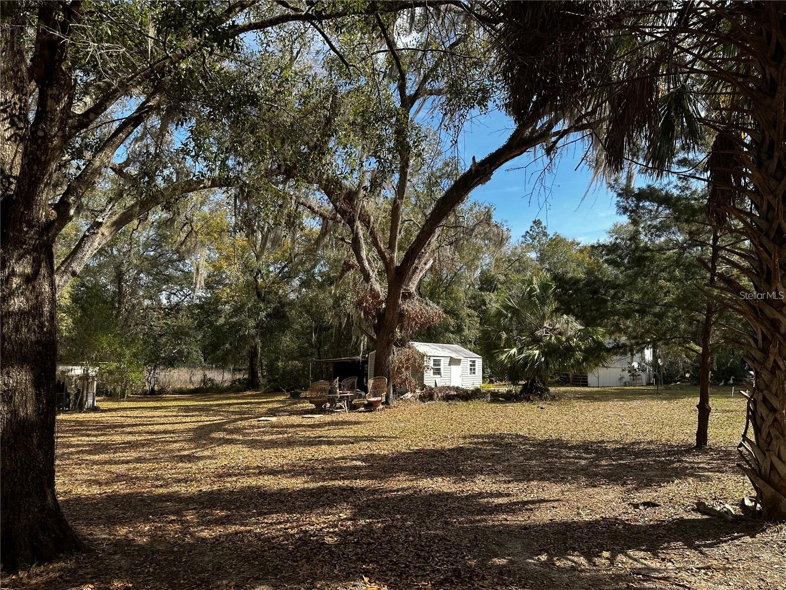 12212 NE 238th Terrace Salt Springs FL 32134 TB8502272 image20