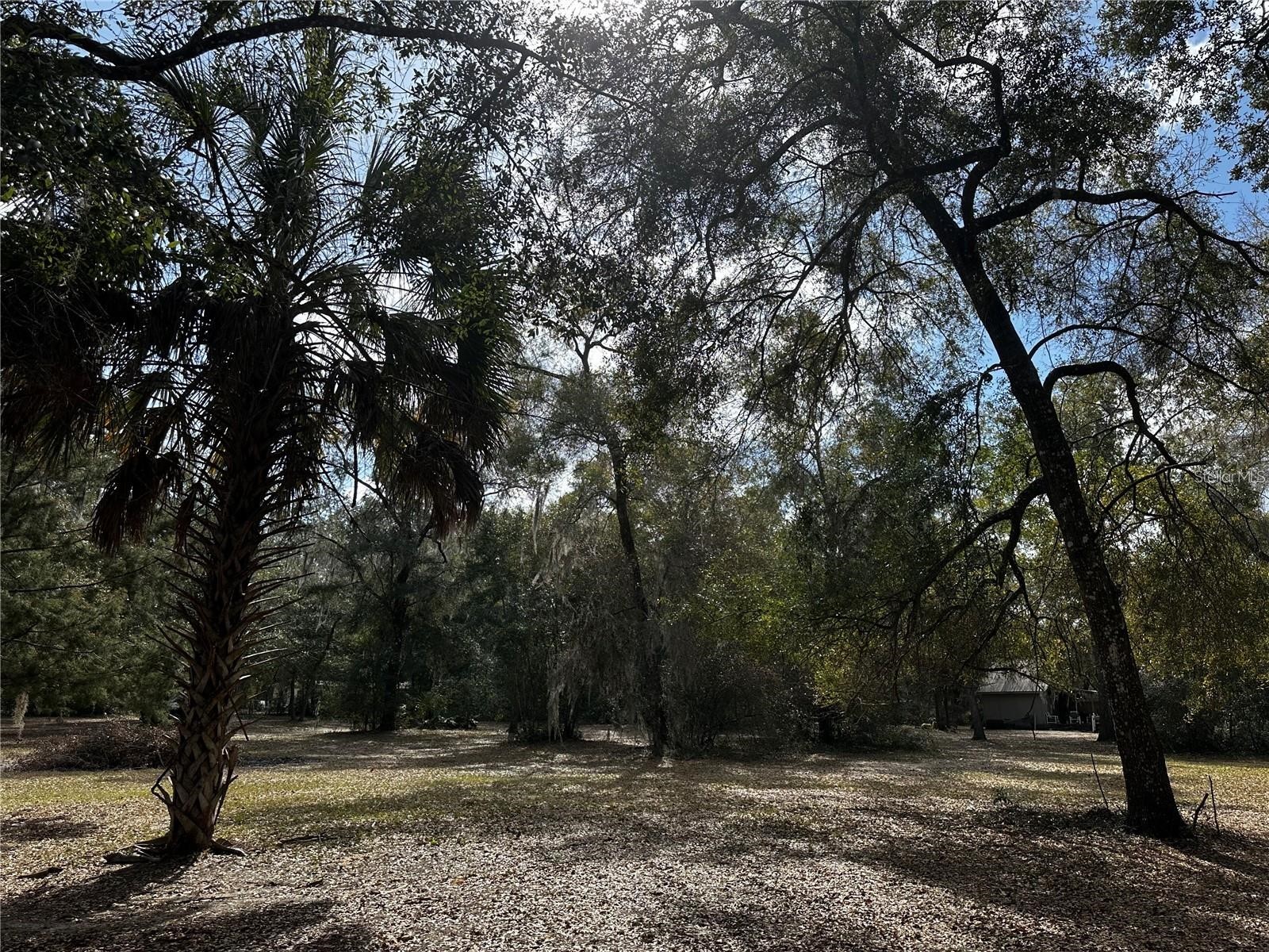 12212 NE 238th Terrace Salt Springs FL 32134 TB8502272 image21