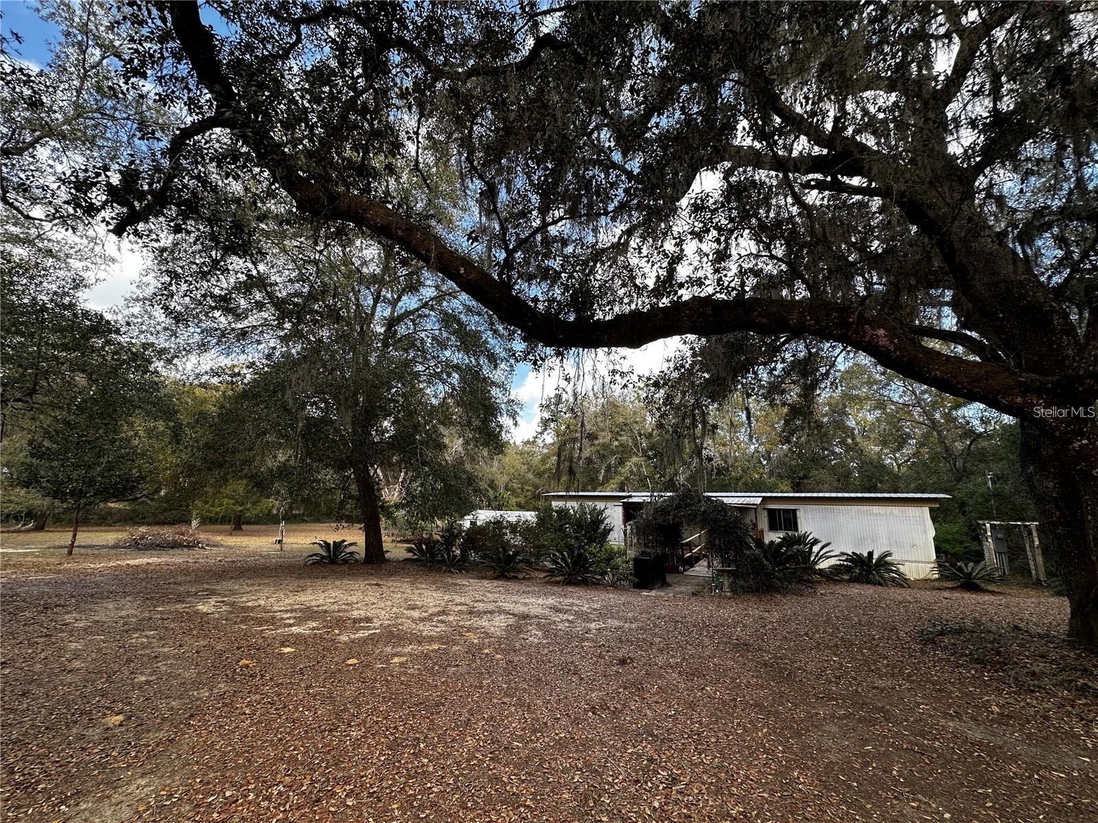 12212 NE 238th Terrace Salt Springs FL 32134 TB8502272 image3