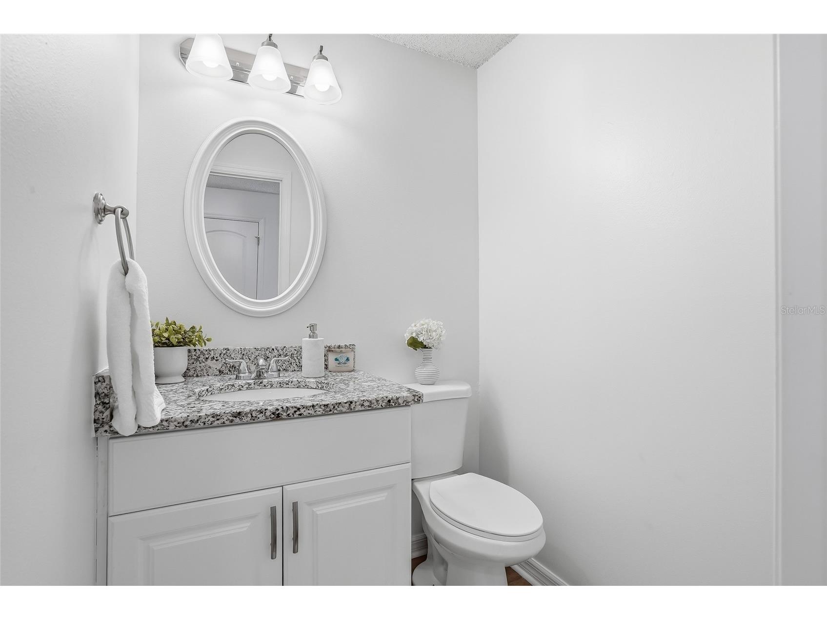 12212 Wildbrook Drive Riverview FL 33569 TB8496264 image28