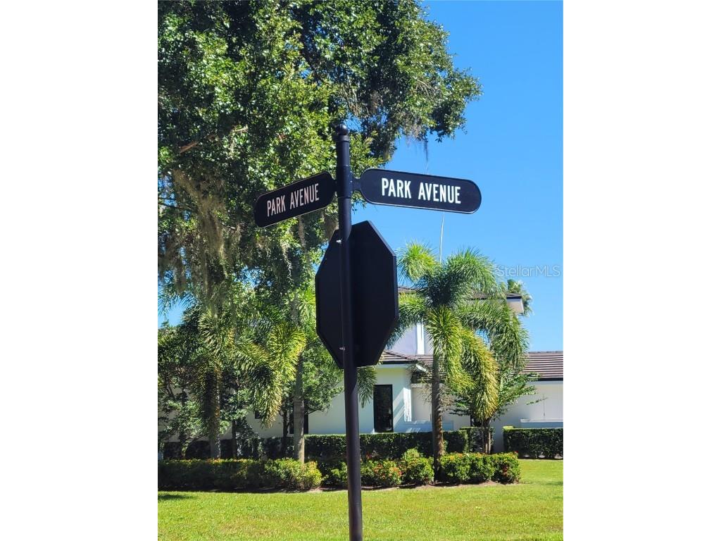 12213 Park Avenue Windermere FL 34786 O6351906 image18