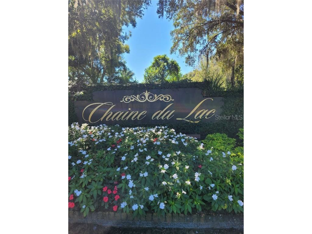 12213 Park Avenue Windermere FL 34786 O6351906 image6