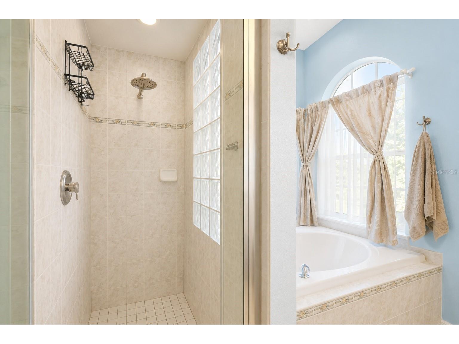 12213 Roseland Drive New Port Richey FL 34654 TB8530172 image22