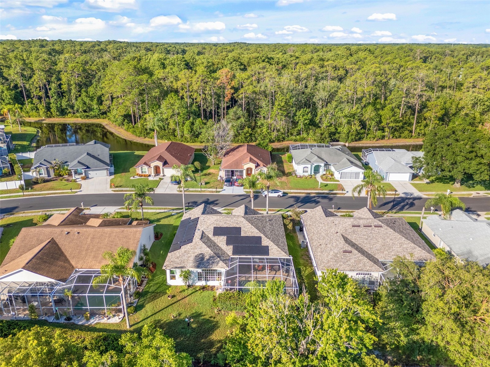 12213 Roseland Drive New Port Richey FL 34654 TB8530172 image47