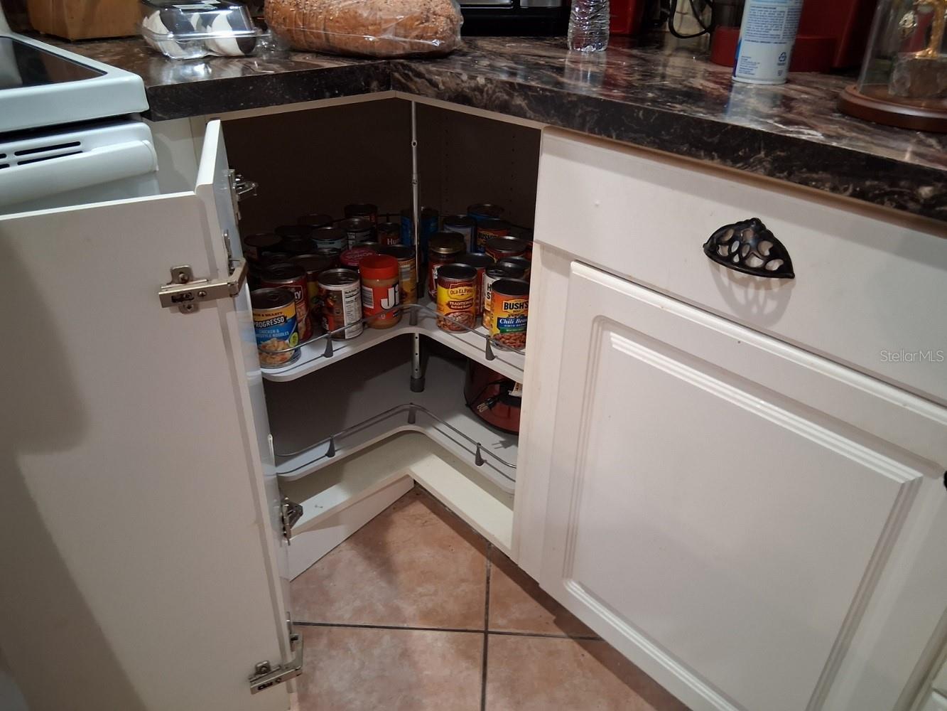 12213 Saddle Strap Row Hudson FL 34667 W7884360 image8