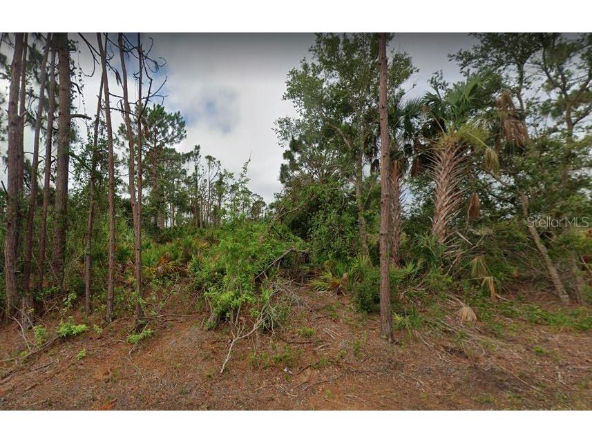 12213 Terkelsen Avenue Port Charlotte FL 33981 U8206503 image1