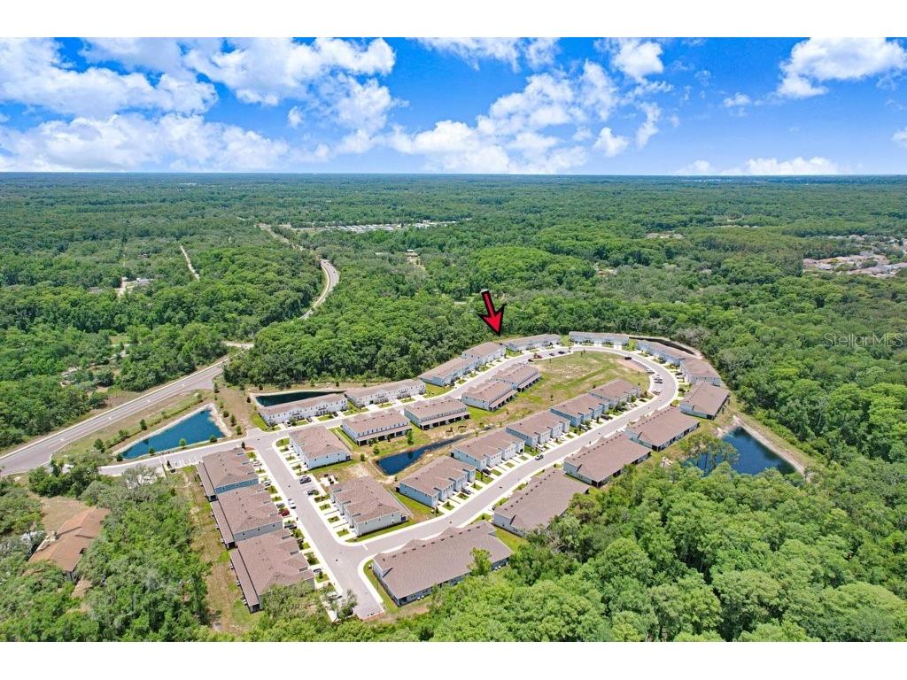 12214 Grizzly Lane New Port Richey FL 34654 TB8516479 image10