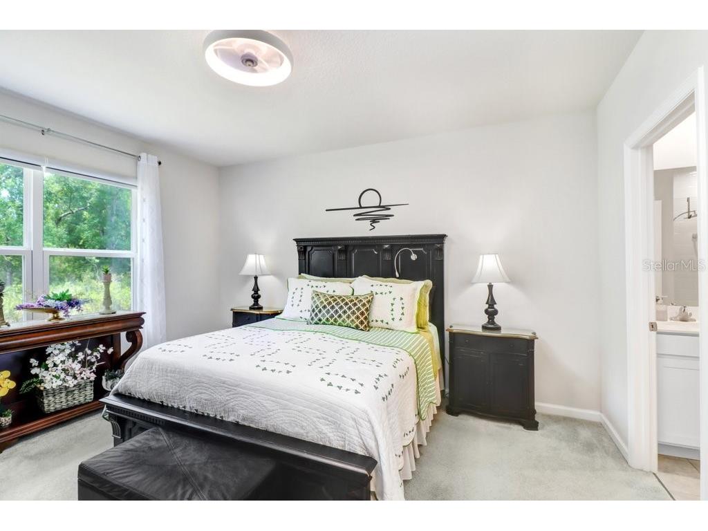 12214 Grizzly Lane New Port Richey FL 34654 TB8516479 image20