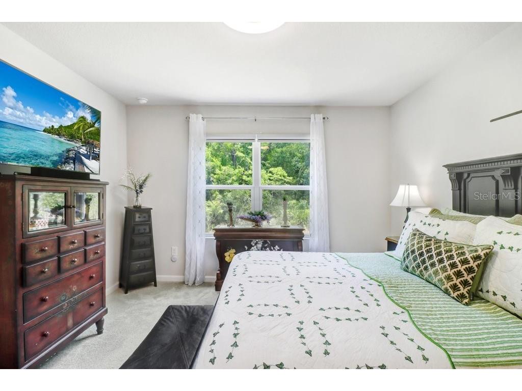 12214 Grizzly Lane New Port Richey FL 34654 TB8516479 image22