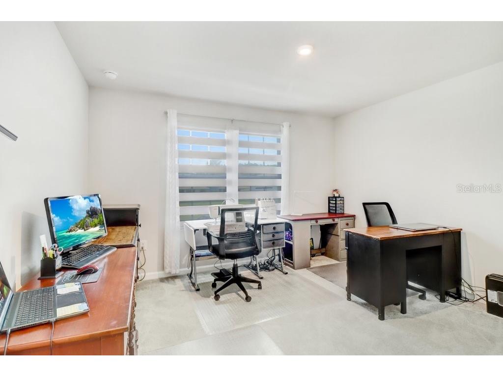 12214 Grizzly Lane New Port Richey FL 34654 TB8516479 image27