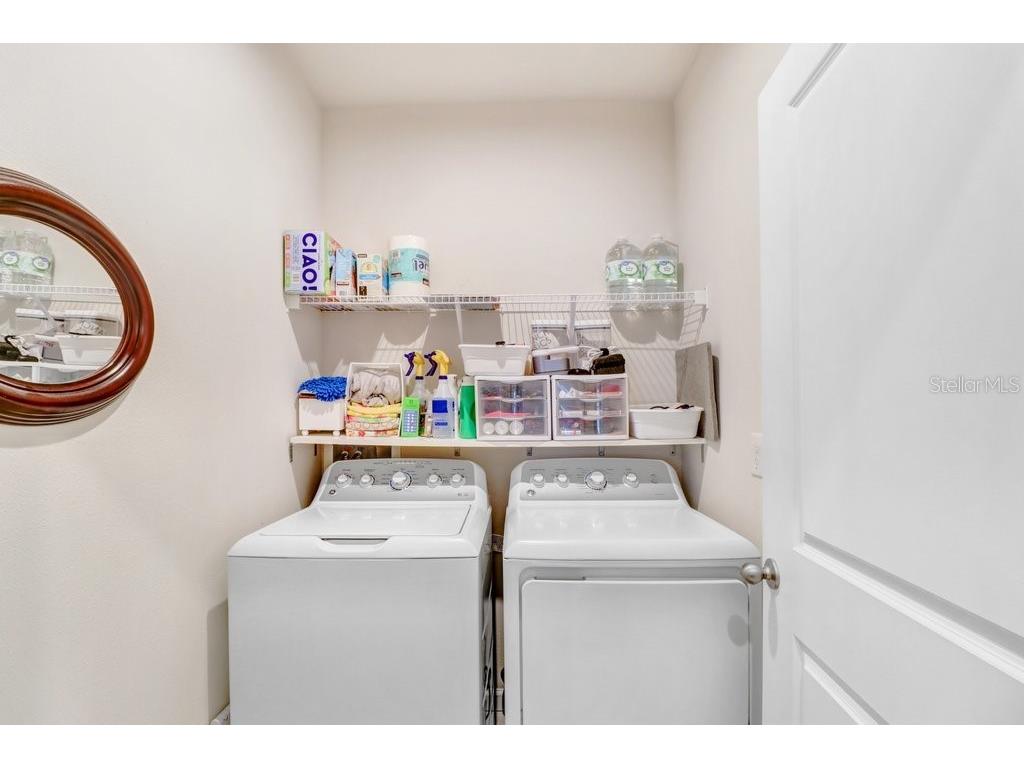 12214 Grizzly Lane New Port Richey FL 34654 TB8516479 image29