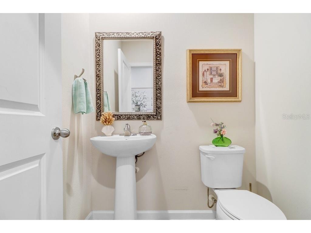 12214 Grizzly Lane New Port Richey FL 34654 TB8516479 image30