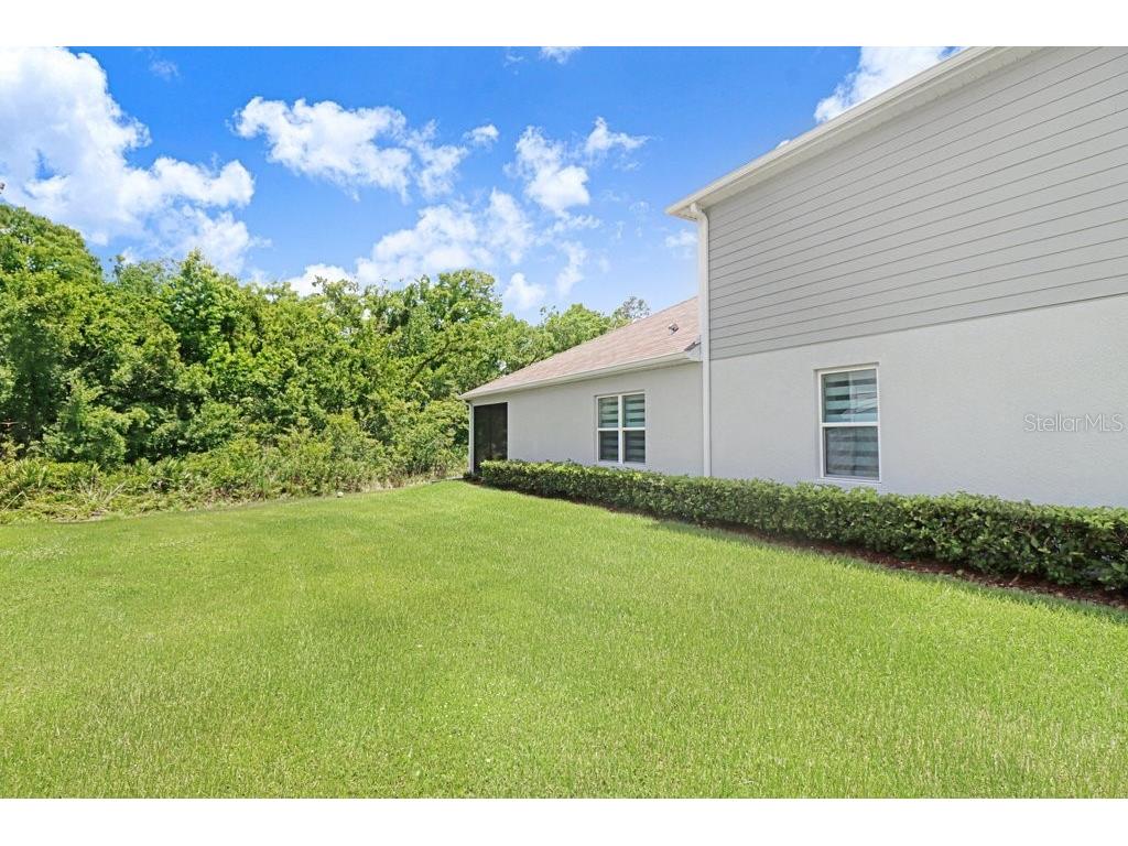 12214 Grizzly Lane New Port Richey FL 34654 TB8516479 image32