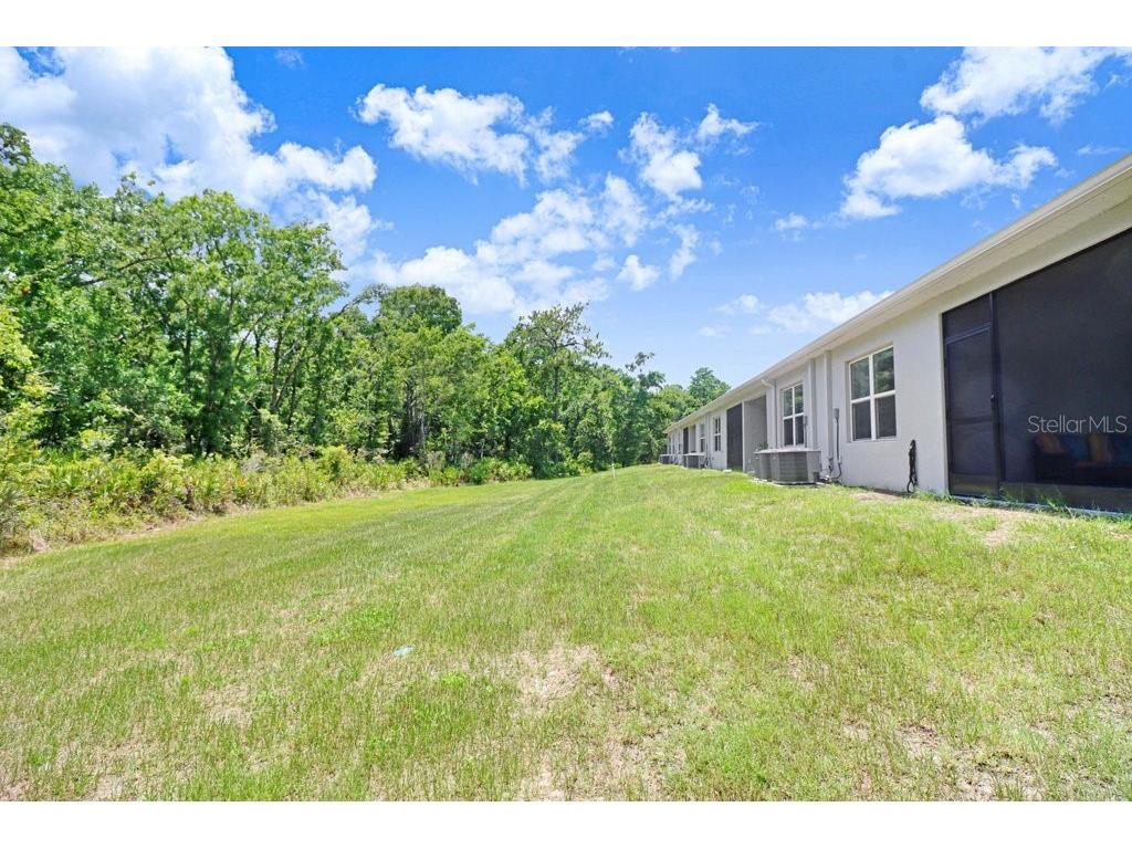 12214 Grizzly Lane New Port Richey FL 34654 TB8516479 image33