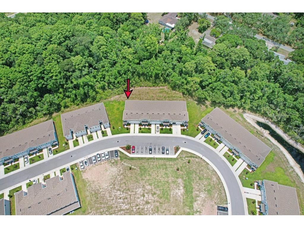12214 Grizzly Lane New Port Richey FL 34654 TB8516479 image7