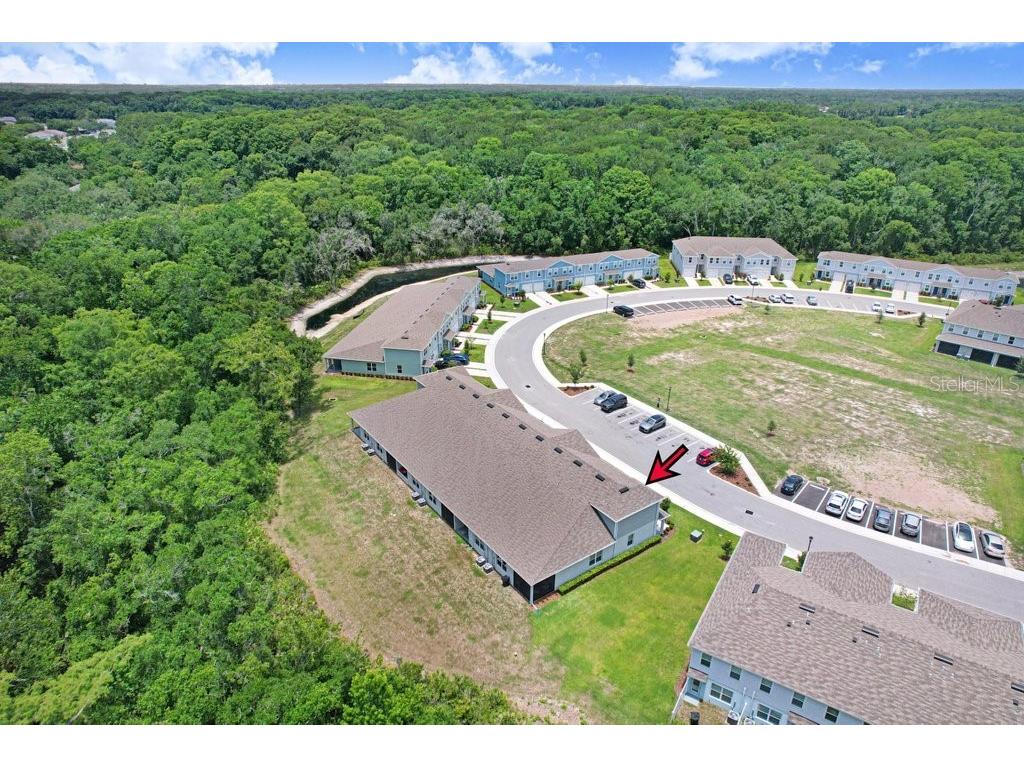 12214 Grizzly Lane New Port Richey FL 34654 TB8516479 image9