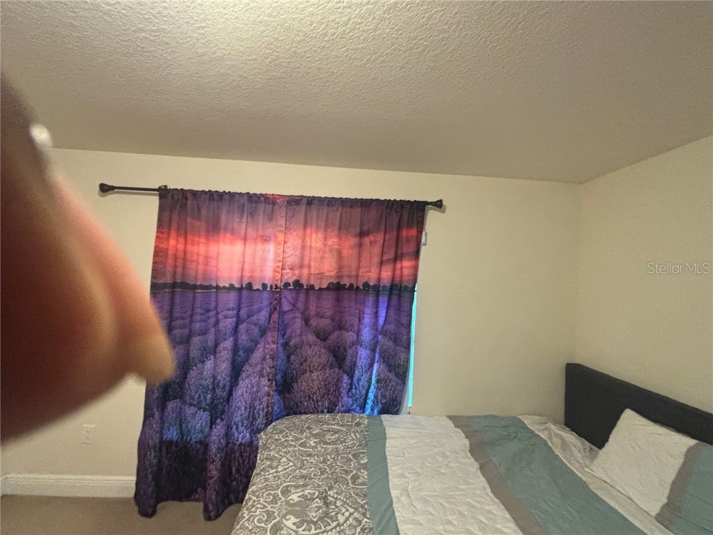 12214 Legacy Bright Riverview FL 33578 TB8428970 image15