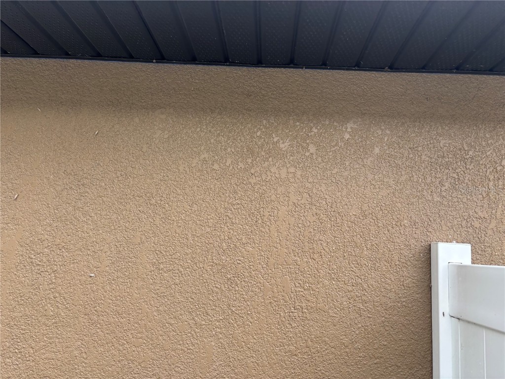 12214 Legacy Bright Riverview FL 33578 TB8428970 image9