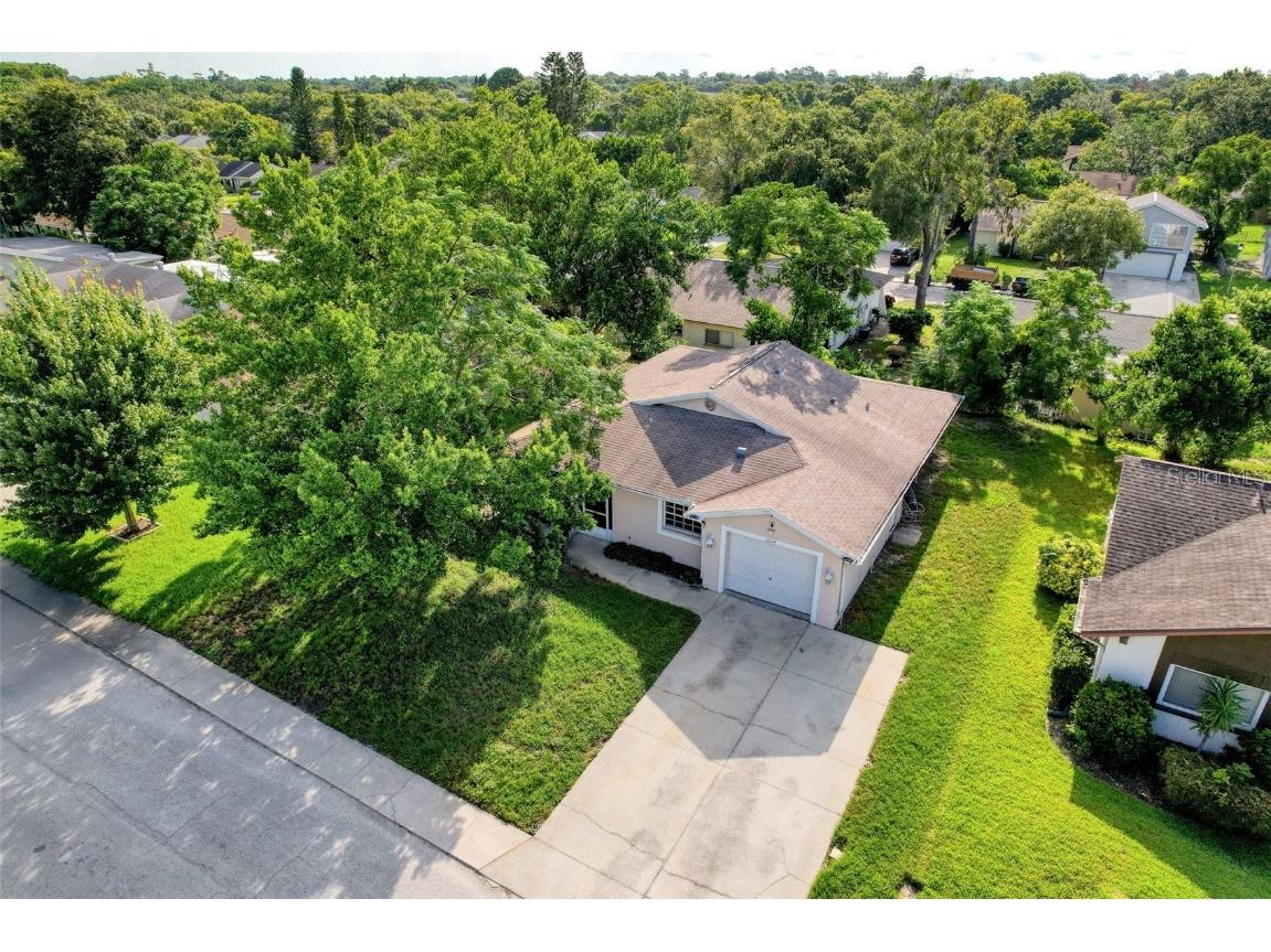 12214 Partridge Hill Row Hudson FL 34667 W7877136 image5