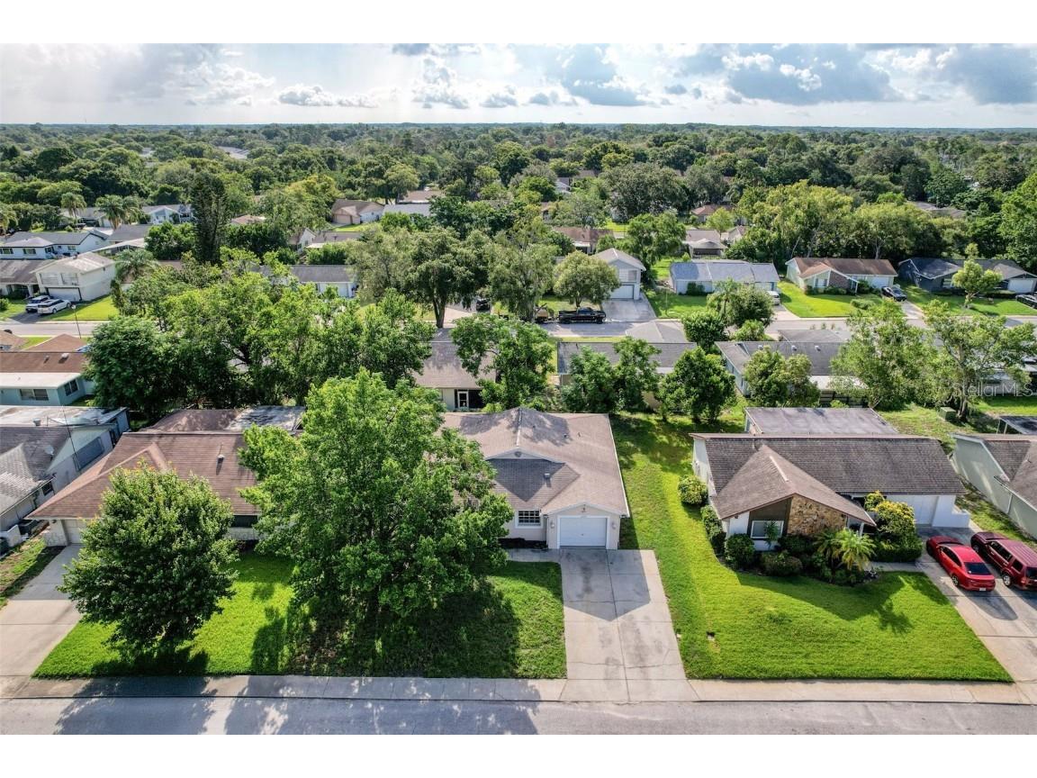 12214 Partridge Hill Row Hudson FL 34667 W7877136 image8