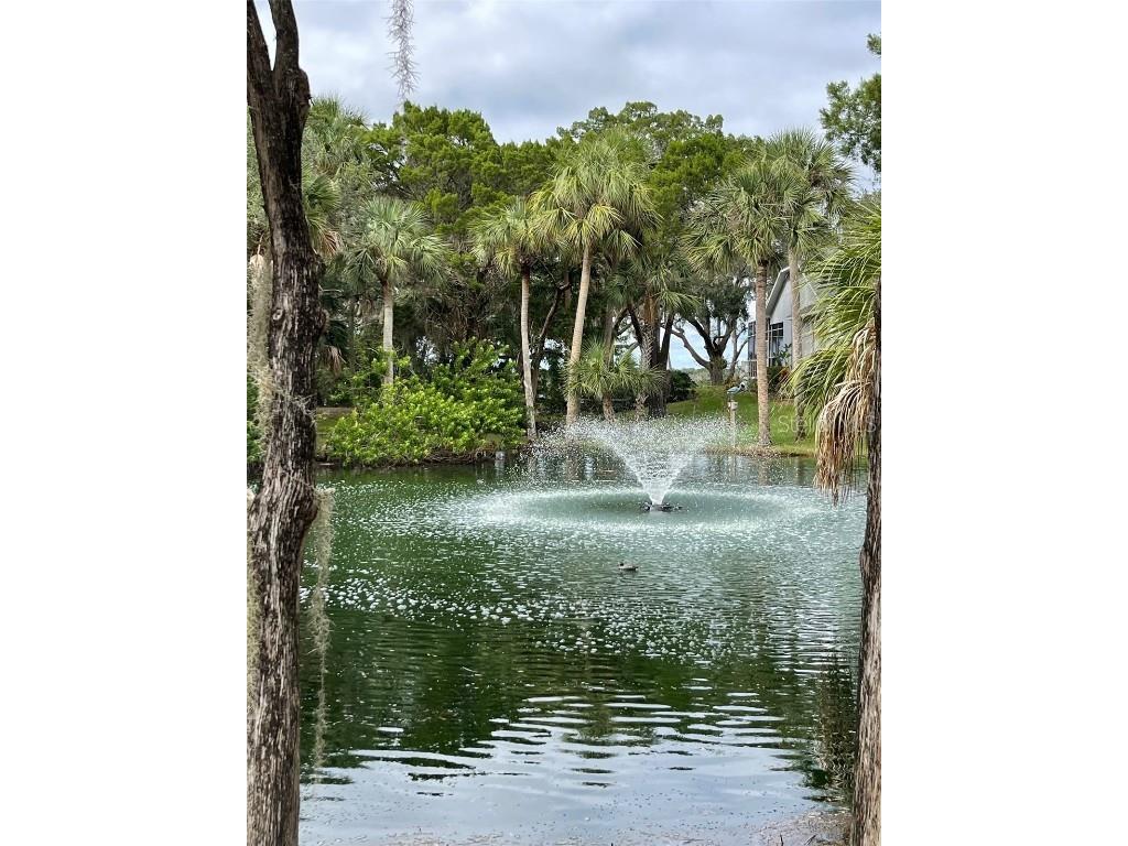 12214 W Restview Court Homosassa FL 34448 - Mason Creek U8217922 image11