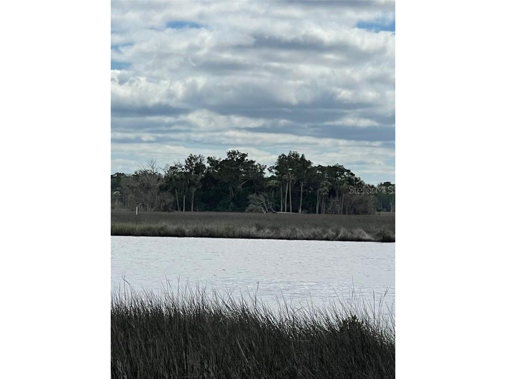 12214 W Restview Court Homosassa FL 34448 - Mason Creek U8217922 image9