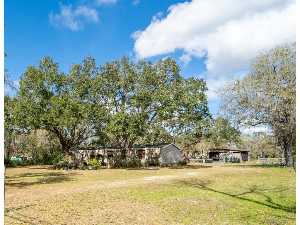 12215 Spottswood Drive Riverview FL 33579 T3424657 image1