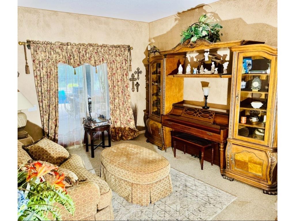 12216 Anne Kenia Drive Thonotosassa FL 33592 TB8413345 image2