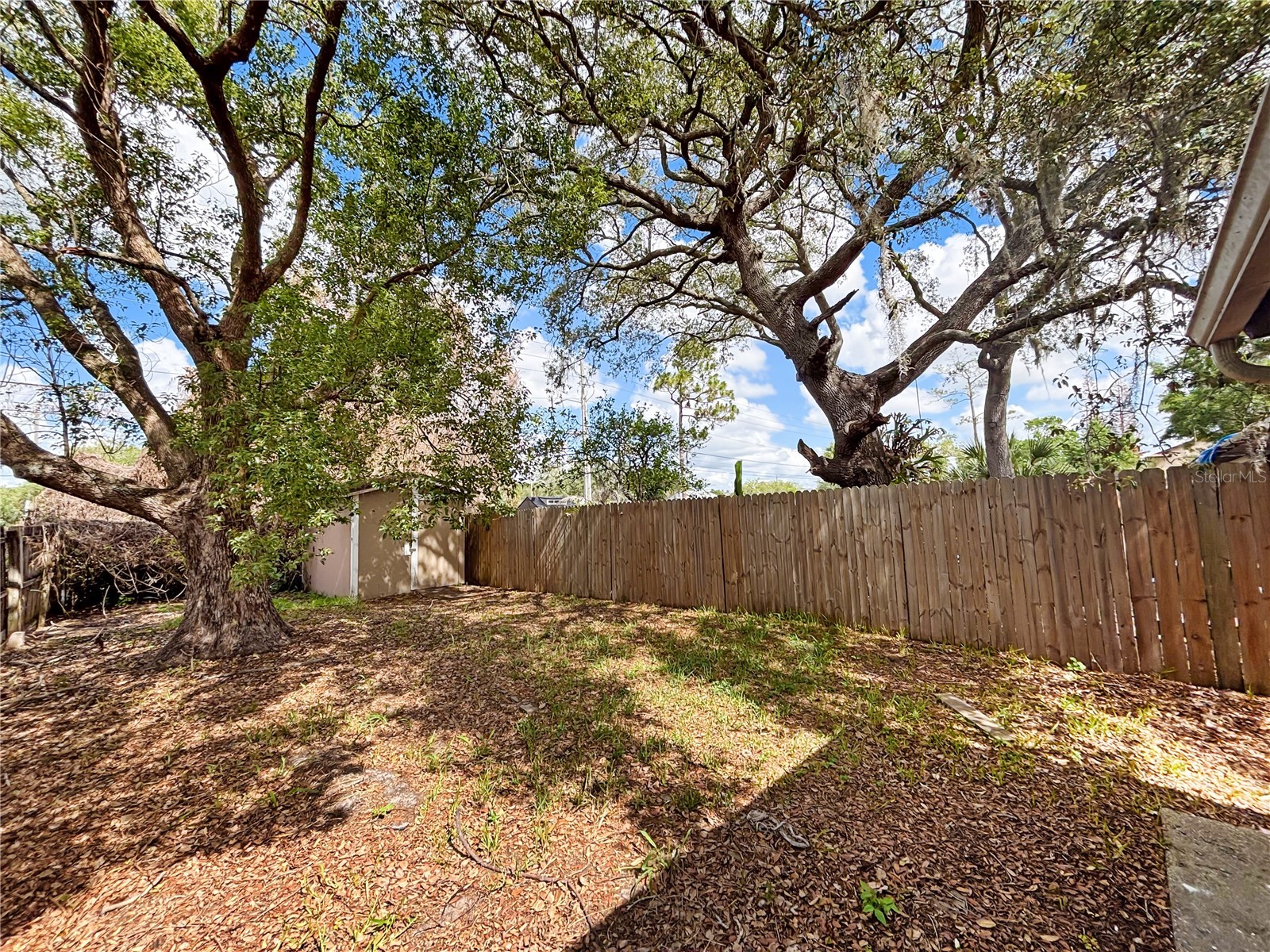 12216 Fox Hound Lane #1 Orlando FL 32826 O6422628 image23