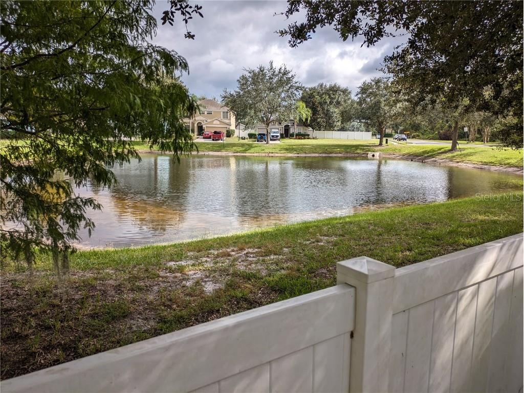 12216 Southbridge Terrace Hudson FL 34669 TB8402579 image38