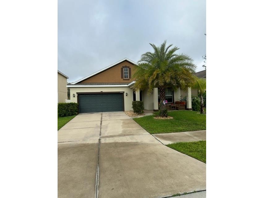 12217 Ballentrae Forest Drive Riverview FL 33579 T3450482 image1