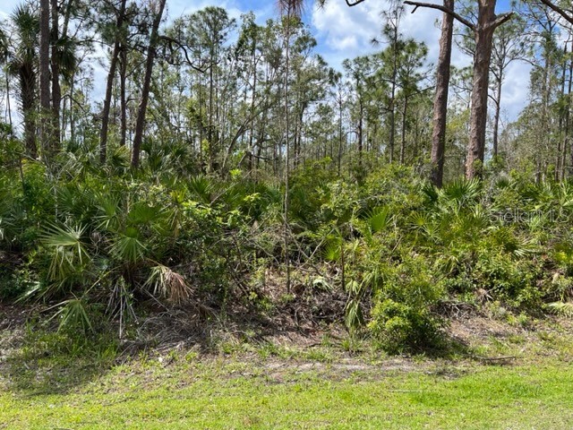 12217 Escuela Drive Punta Gorda FL 33955 D6130158 image1